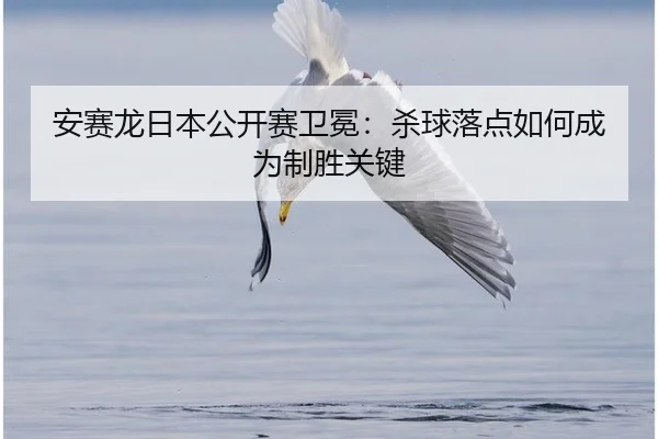 安赛龙日本公开赛卫冕：杀球落点如何成为制胜关键