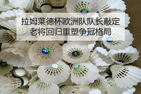 la-mu-lai-de-bei-ou-zhou-dui-dui-zhang-qiao-ding-lao-jiang-hui-gui-zhong-su-zheng-guan-ge-ju-3-758.jpg