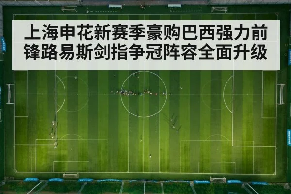 上海申花新赛季豪购巴西强力前锋路易斯剑指争冠阵容全面升级
